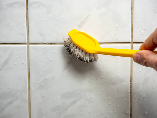 Best Emergency Mold Removal  in Pearl River, LA